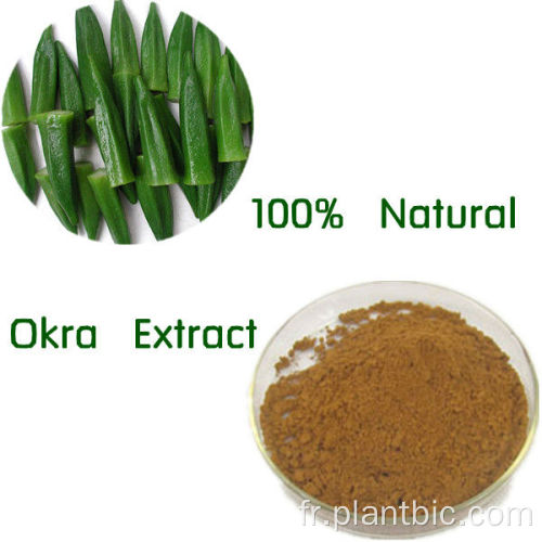 Fourniture d&#39;usine Pure Natural Plant Extrait Okra Extrait